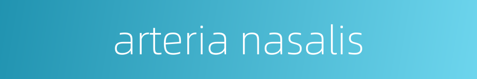 arteria nasalis的同义词
