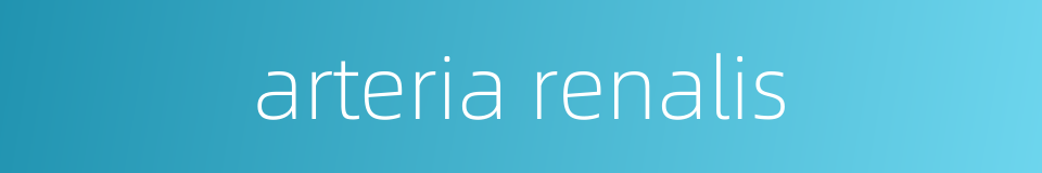 arteria renalis的同义词