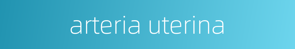 arteria uterina的同义词