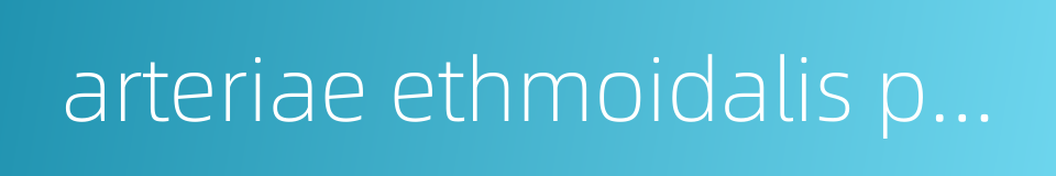 arteriae ethmoidalis posterior的同义词