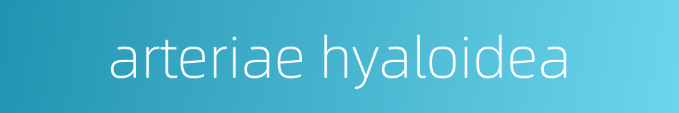 arteriae hyaloidea的同义词