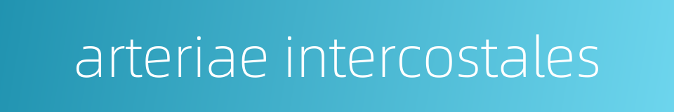 arteriae intercostales的同义词