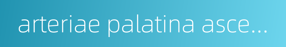 arteriae palatina ascendens的同义词