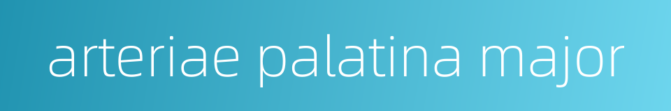 arteriae palatina major的同义词
