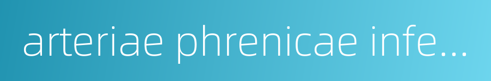 arteriae phrenicae inferior的同义词