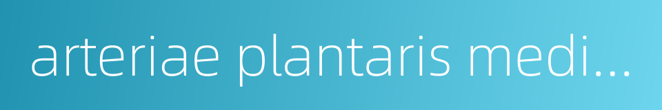 arteriae plantaris medialis的同义词