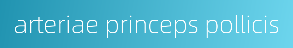 arteriae princeps pollicis的同义词