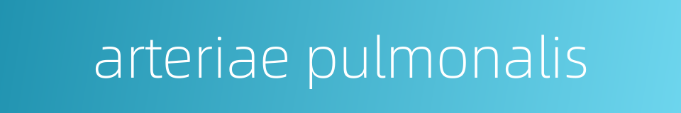 arteriae pulmonalis的同义词