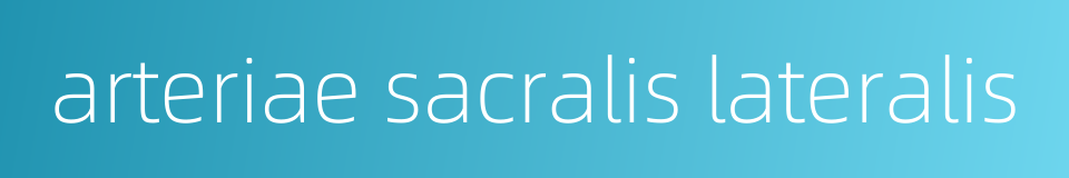 arteriae sacralis lateralis的同义词