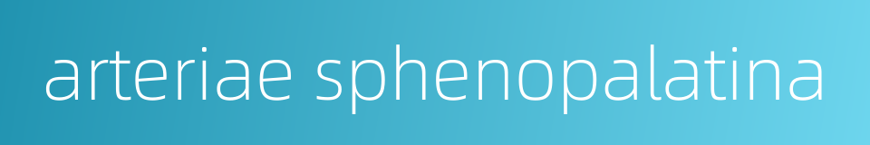 arteriae sphenopalatina的同义词