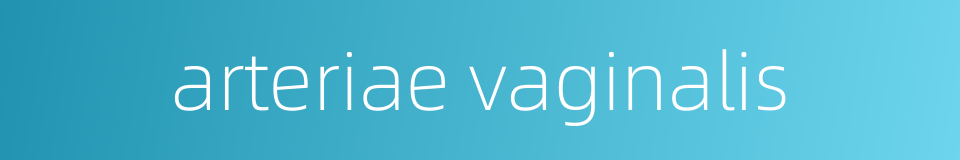 arteriae vaginalis的同义词