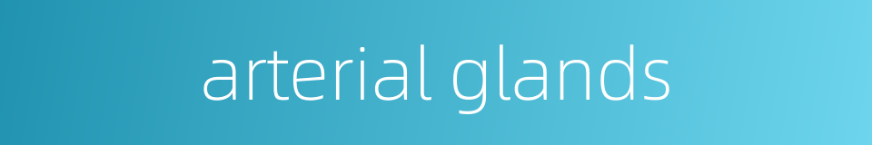 arterial glands的同义词
