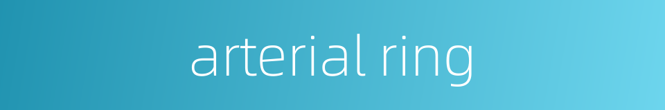 arterial ring的同义词