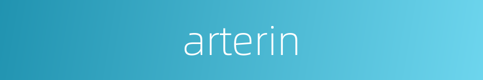 arterin的同义词
