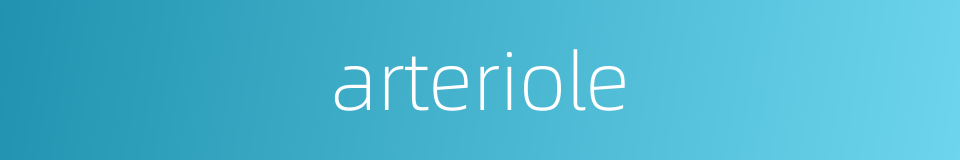 arteriole的同义词