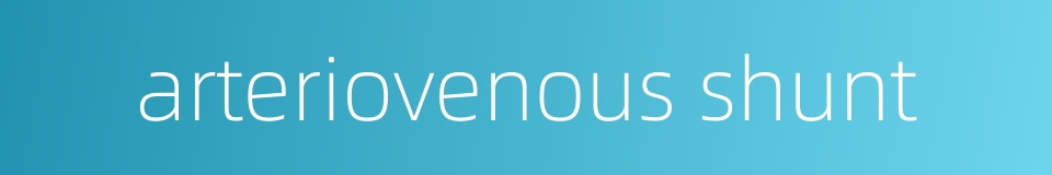 arteriovenous shunt的同义词
