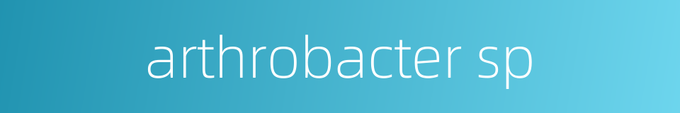 arthrobacter sp的同义词