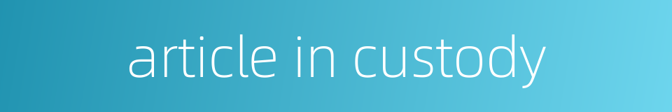 article in custody的同义词