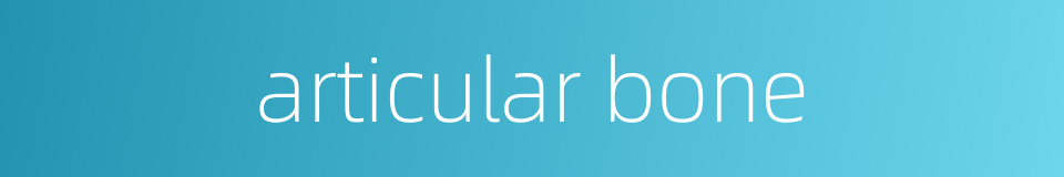 articular bone的同义词