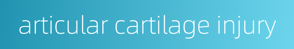 articular cartilage injury的同义词