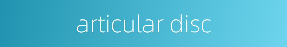 articular disc的同义词