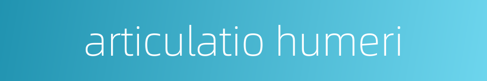 articulatio humeri的同义词