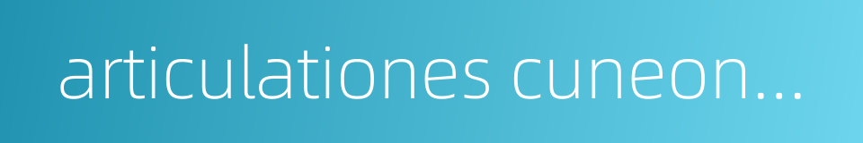 articulationes cuneonavicularis的同义词