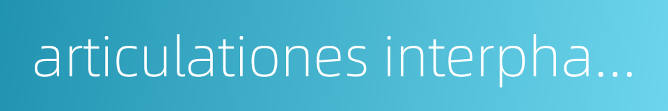 articulationes interphalangeae maus的同义词