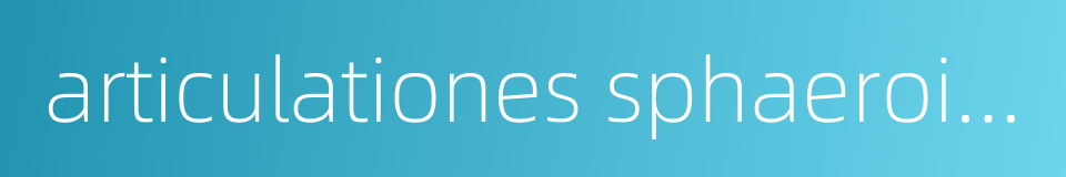 articulationes sphaeroidea的同义词