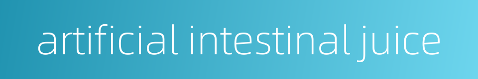 artificial intestinal juice的同义词