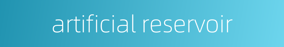 artificial reservoir的同义词