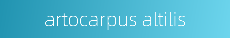 artocarpus altilis的同义词