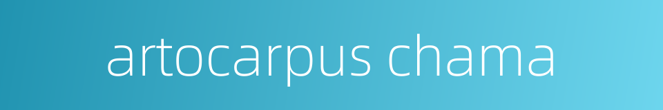 artocarpus chama的同义词