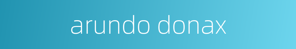 arundo donax的同义词