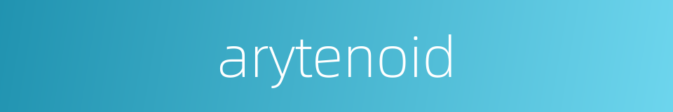 arytenoid的同义词