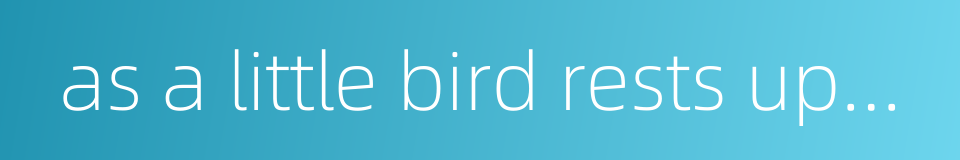 as a little bird rests upon a man - a timid and lovable little woman的同义词