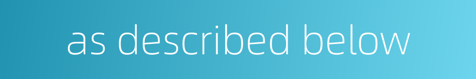 as described below的同义词