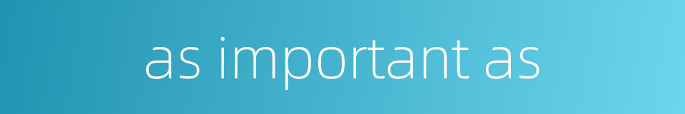 as important as的同义词