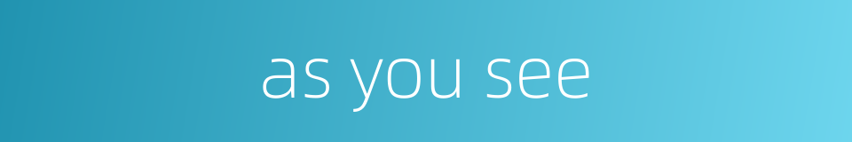 as you see的同义词