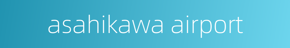 asahikawa airport的同义词