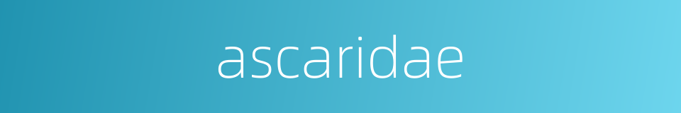 ascaridae的同义词