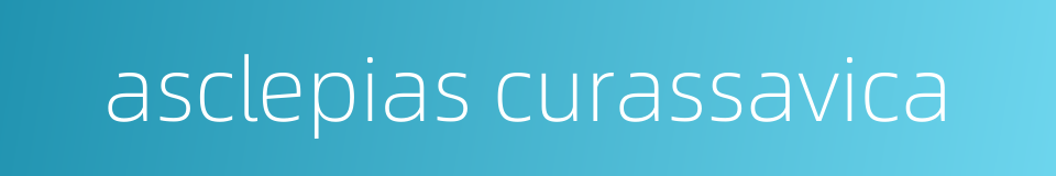 asclepias curassavica的同义词