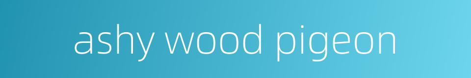 ashy wood pigeon的同义词