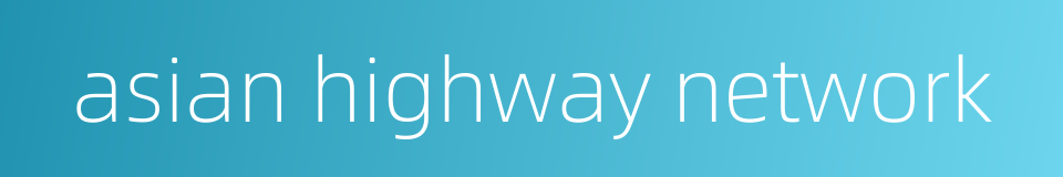 asian highway network的同义词