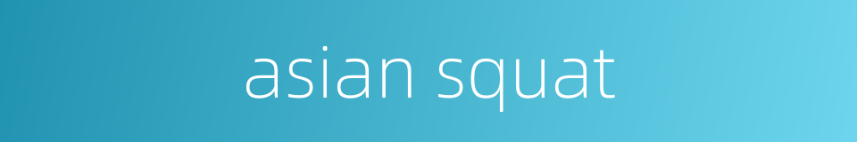 asian squat的同义词