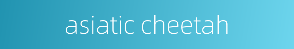 asiatic cheetah的同义词