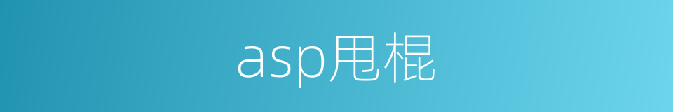 asp甩棍的同义词