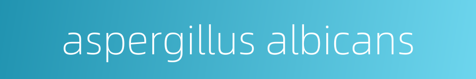 aspergillus albicans的同义词