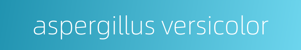 aspergillus versicolor的同义词