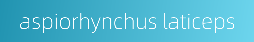 aspiorhynchus laticeps的同义词